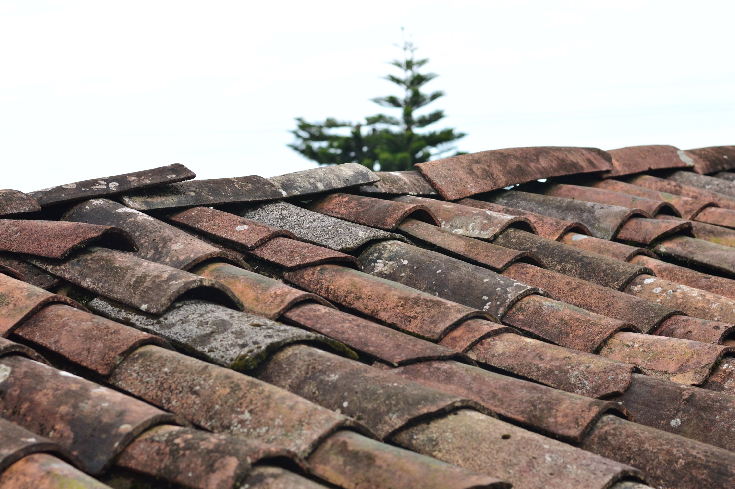 Clay roof tiles on an A&D job